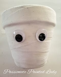 Clay Pot Mummy